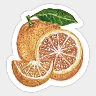 Oranges Sticker